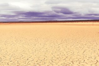 Romanskolk, a farm near Brandvlei in the study area, showing what drought looks like. Courtesy Danita Hohne