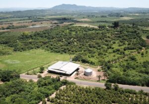 Rotocarb Macadamia nut farm