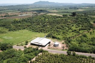 Rotocarb Macadamia nut farm