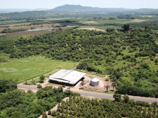 Rotocarb Macadamia nut farm