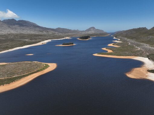 Steenbras 2026 dam level