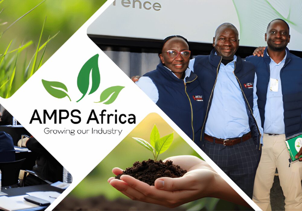 The 2026 AMPS-Africa Conference: 20th August 2026