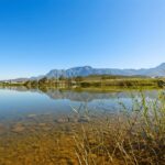 Water in a dam in South Africa representing water stewardship