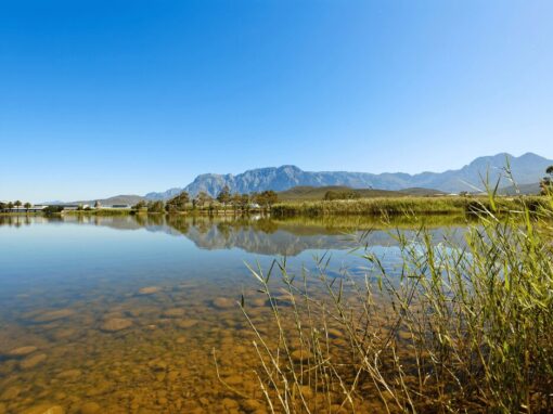 Water in a dam in South Africa representing water stewardship