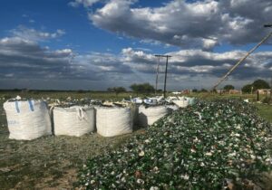 bottle recycling in open field