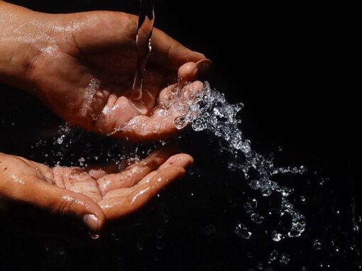 hands cupping water on a black background