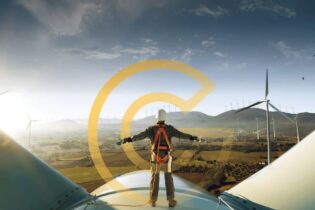 market intelligence reports for agriculture, renewable energy and water sector by GreenCape