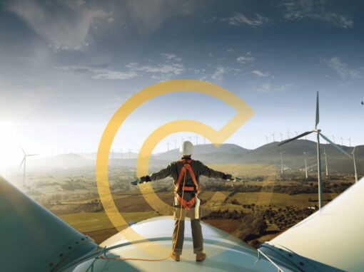 market intelligence reports for agriculture, renewable energy and water sector by GreenCape