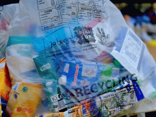 plastic recycling by waste pickers