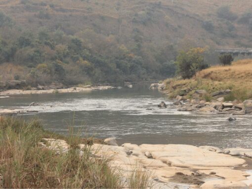 uMkhomazi River in KwaZulu-Natal