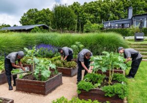 Brahman Hills in the KwaZulu-Natal Midlands zero waste food kitchen