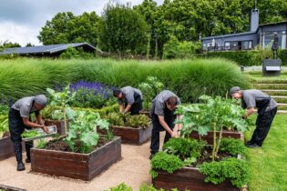 Brahman Hills in the KwaZulu-Natal Midlands zero waste food kitchen