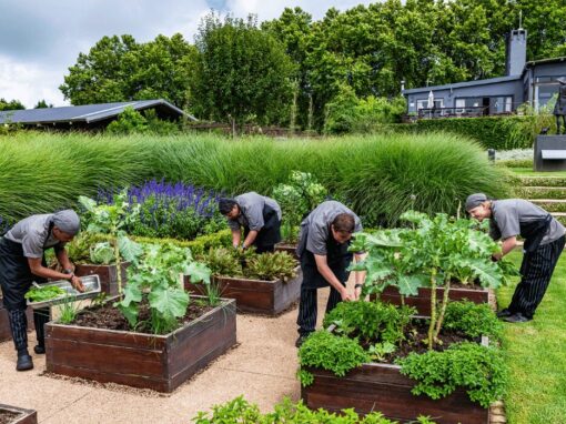 Brahman Hills in the KwaZulu-Natal Midlands zero waste food kitchen