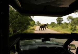 Kruger National Park