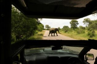Kruger National Park