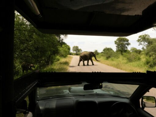 Kruger National Park