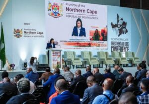 Northern Cape MEC investment conference