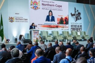 Northern Cape MEC investment conference