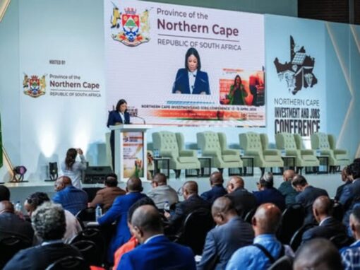 Northern Cape MEC investment conference