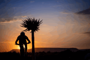 cyclist riding into the light