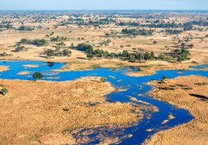 ecological infrastructure