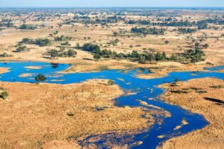 ecological infrastructure