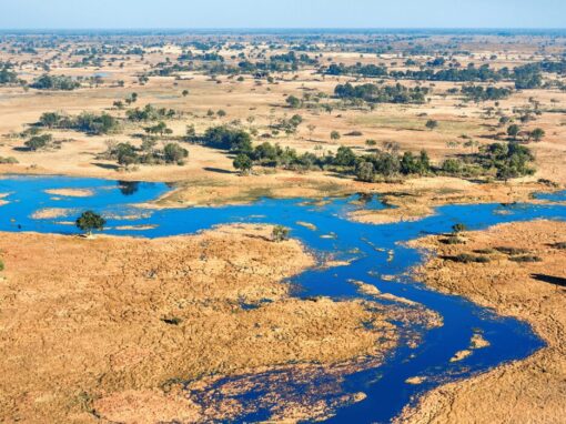 ecological infrastructure
