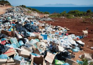 waste management