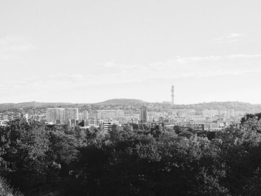 City of Tshwane