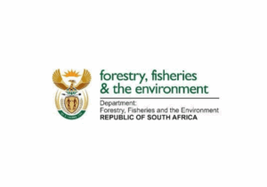 Department of Forestry, Fisheries and the Environment logo