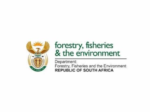 Department of Forestry, Fisheries and the Environment logo