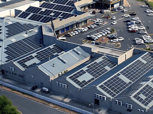 Fedgroup Renewables Capital