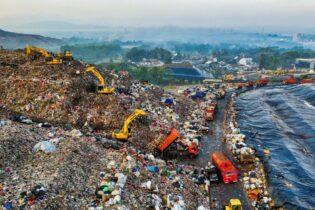 organic waste in a dump