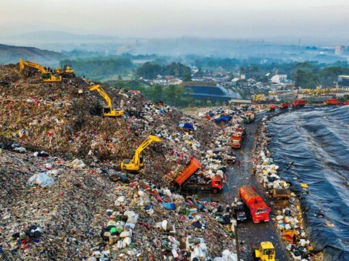 organic waste in a dump