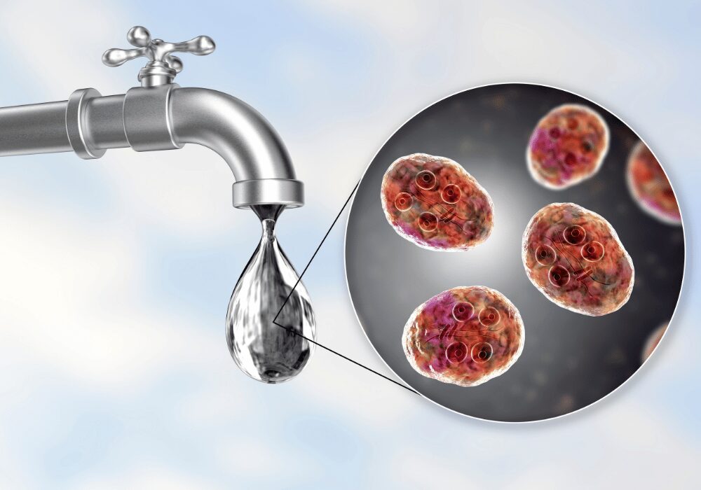 particles within a water droplet from a tap