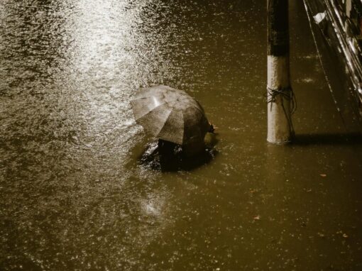 flooded area outdoors due to heavy rain