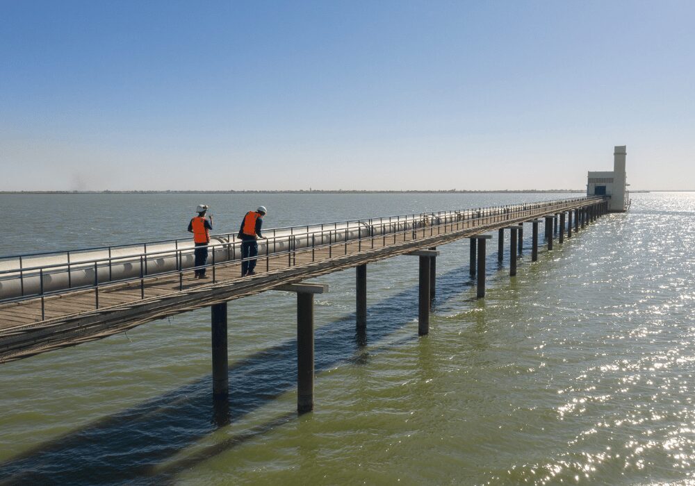 water engineers evaluating body of water beneath a bridge