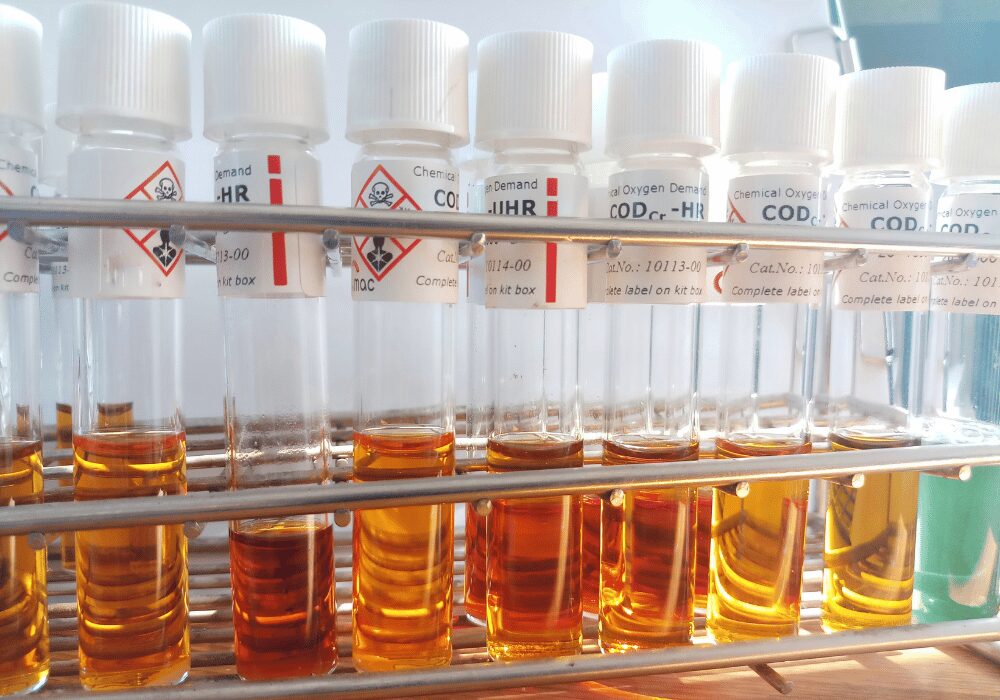 water samples in a test tubes