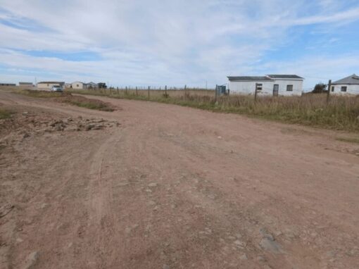 Bityi residents near Mthatha raised their own funds to level this gravel road in their community after their pleas for government help went unanswered for years. Photo: Nombulelo Damba-Hendrik