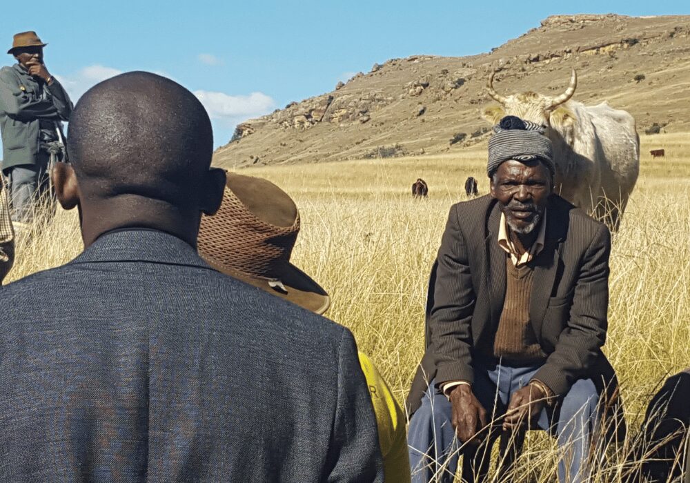 Meat Naturally Africa interview on farming in South Africa