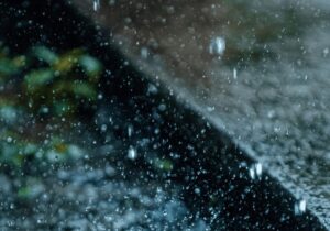 Nelson Mandela Bay rainfall upclose