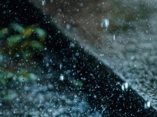 Nelson Mandela Bay rainfall upclose