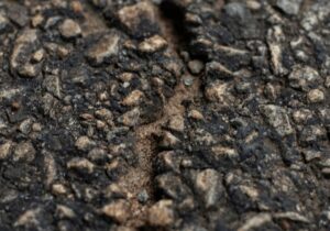crack in a road exposing cement
