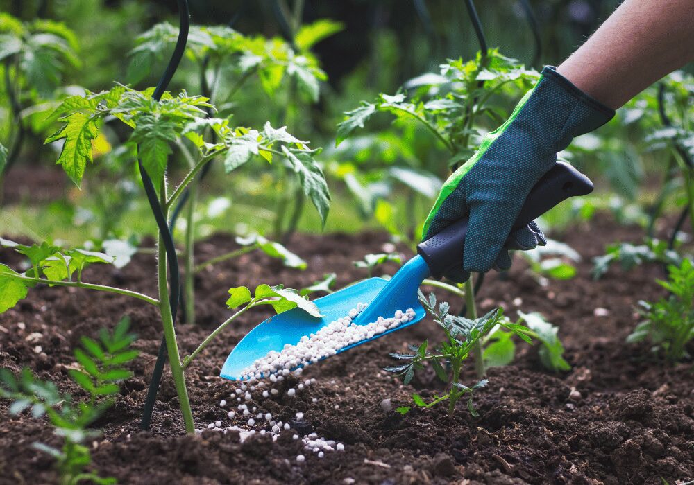fertilizer pellets for vegetable plants