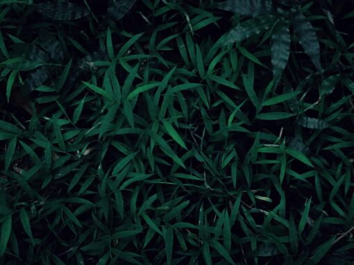 grass and leaves cuttings for recycling