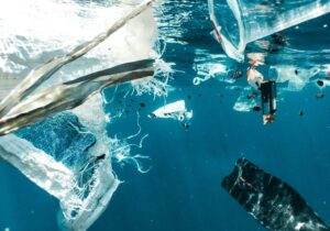 plastic pollution