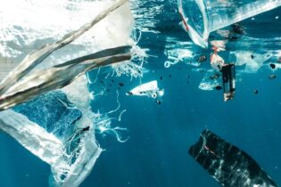 plastic pollution