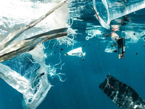 plastic pollution