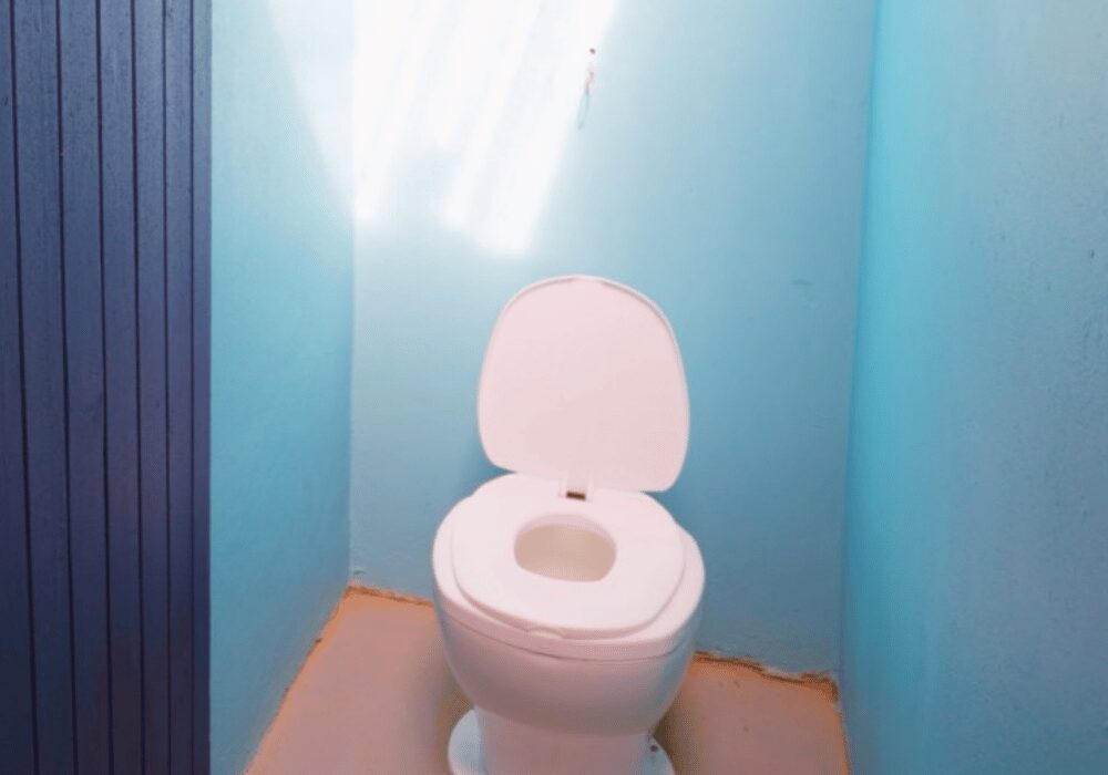 BORDA clean toilet in a stall