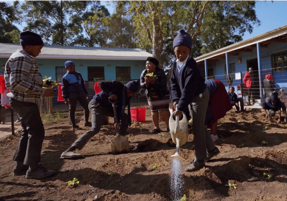 Julukandoda Primary School, treated wastewater is reused to irrigate crops and fruit trees